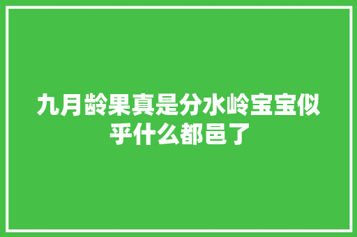 九月龄果真是分水岭宝宝似乎什么都邑了