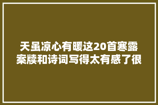 天虽凉心有暖这20首寒露案牍和诗词写得太有感了很醉人