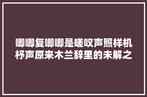 唧唧复唧唧是嗟叹声照样机杼声原来木兰辞里的未解之谜这么多
