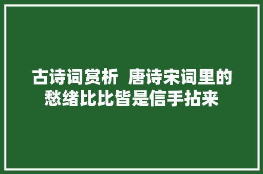 古诗词赏析  唐诗宋词里的愁绪比比皆是信手拈来