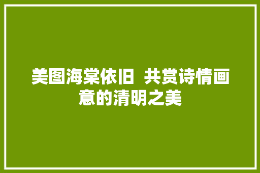 美图海棠依旧  共赏诗情画意的清明之美