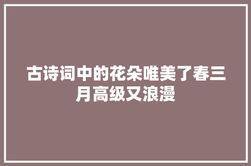 古诗词中的花朵唯美了春三月高级又浪漫