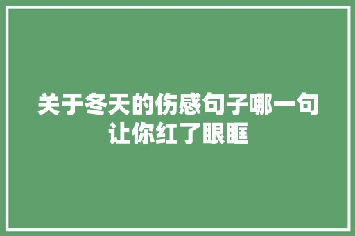 关于冬天的伤感句子哪一句让你红了眼眶