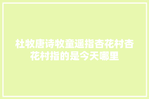 杜牧唐诗牧童遥指杏花村杏花村指的是今天哪里