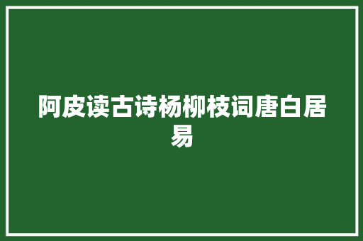 阿皮读古诗杨柳枝词唐白居易