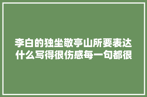 李白的独坐敬亭山所要表达什么写得很伤感每一句都很孤独