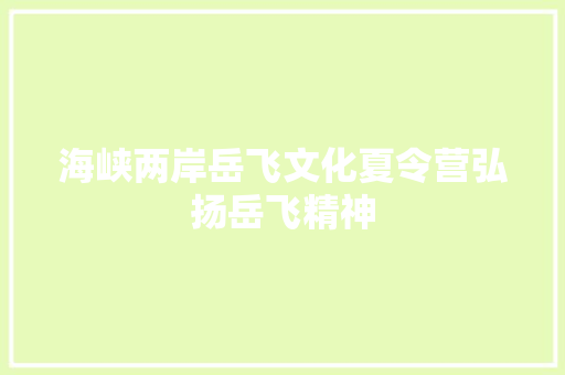 海峡两岸岳飞文化夏令营弘扬岳飞精神