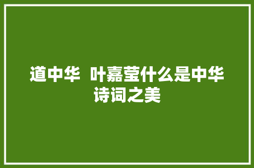 道中华  叶嘉莹什么是中华诗词之美