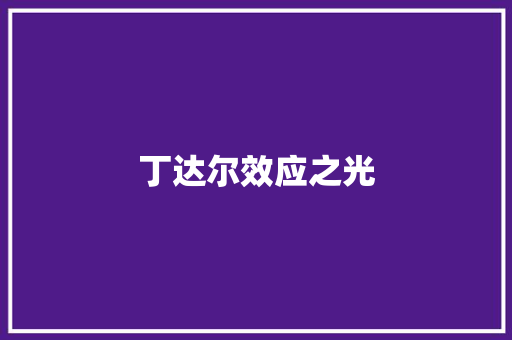 丁达尔效应之光