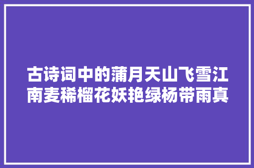 古诗词中的蒲月天山飞雪江南麦稀榴花妖艳绿杨带雨真美