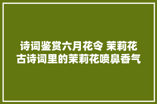 诗词鉴赏六月花令 茉莉花古诗词里的茉莉花喷鼻香气怡人一整夏
