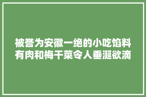 被誉为安徽一绝的小吃馅料有肉和梅干菜令人垂涎欲滴