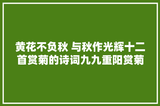 黄花不负秋 与秋作光辉十二首赏菊的诗词九九重阳赏菊花