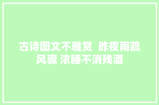 古诗图文不雅赏  昨夜雨疏风骤 浓睡不消残酒