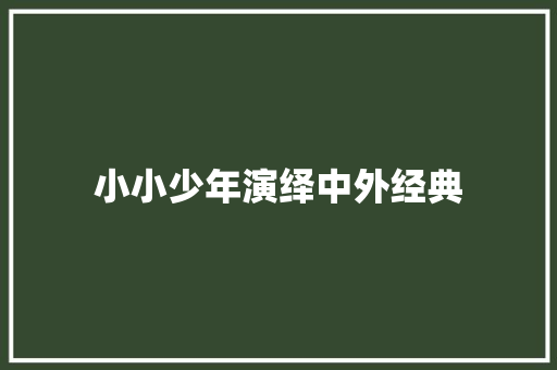 小小少年演绎中外经典