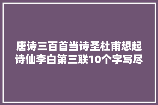 唐诗三百首当诗圣杜甫想起诗仙李白第三联10个字写尽人生百味