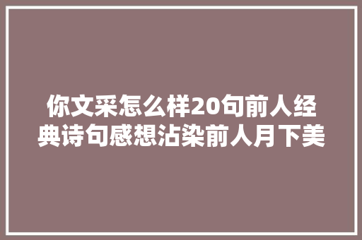 你文采怎么样20句前人经典诗句感想沾染前人月下美
