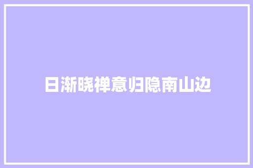 日渐晓禅意归隐南山边