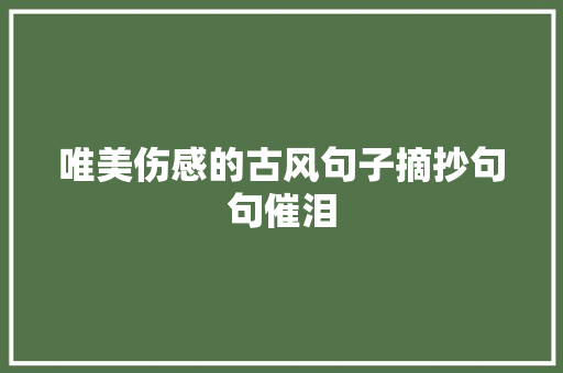 唯美伤感的古风句子摘抄句句催泪