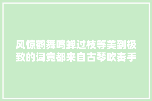 风惊鹤舞鸣蝉过枝等美到极致的词竟都来自古琴吹奏手势
