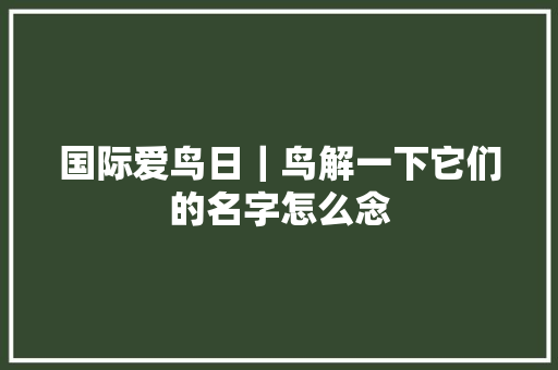 国际爱鸟日｜鸟解一下它们的名字怎么念