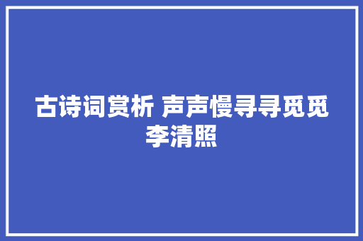 古诗词赏析 声声慢寻寻觅觅李清照
