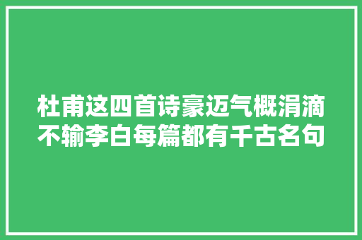 杜甫这四首诗豪迈气概涓滴不输李白每篇都有千古名句