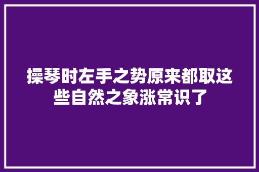 操琴时左手之势原来都取这些自然之象涨常识了