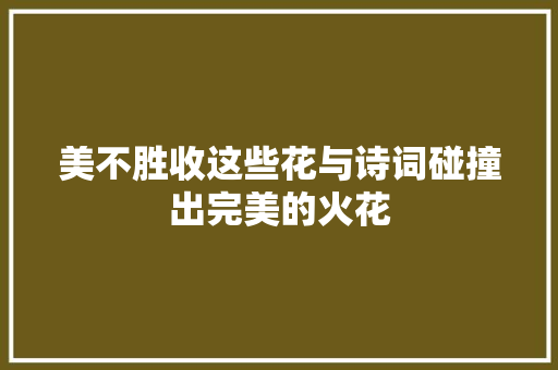 美不胜收这些花与诗词碰撞出完美的火花