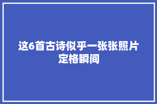 这6首古诗似乎一张张照片定格瞬间