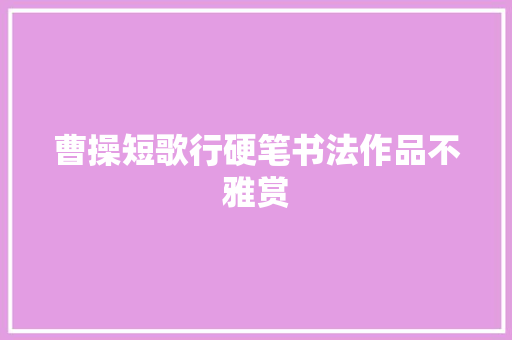曹操短歌行硬笔书法作品不雅赏