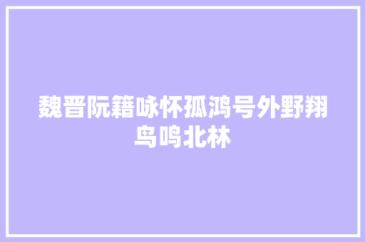 魏晋阮籍咏怀孤鸿号外野翔鸟鸣北林