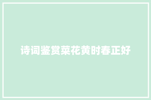 诗词鉴赏菜花黄时春正好