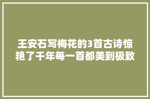 王安石写梅花的3首古诗惊艳了千年每一首都美到极致