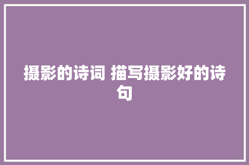 摄影的诗词 描写摄影好的诗句