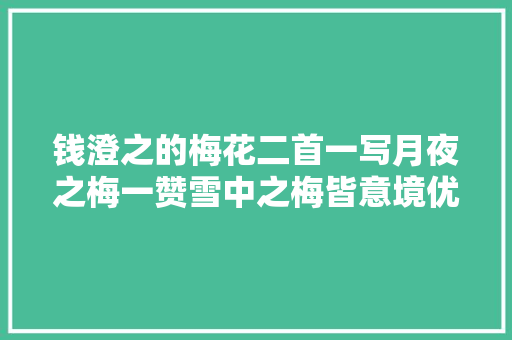 钱澄之的梅花二首一写月夜之梅一赞雪中之梅皆意境优美
