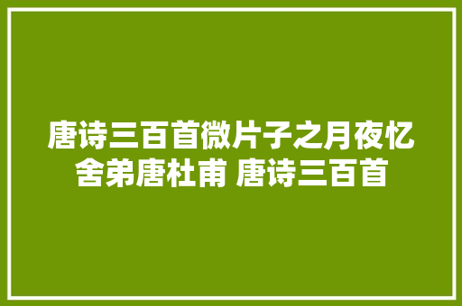 唐诗三百首微片子之月夜忆舍弟唐杜甫 唐诗三百首