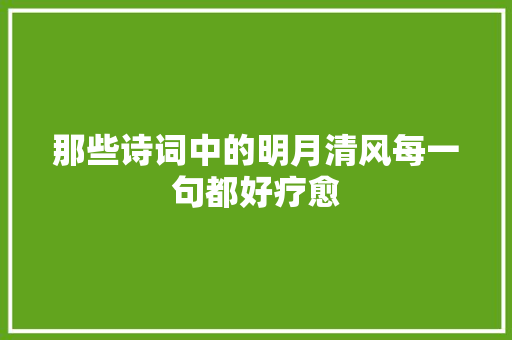 那些诗词中的明月清风每一句都好疗愈