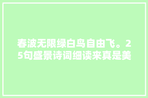 春波无限绿白鸟自由飞。25句盛景诗词细读来真是美不胜收啊