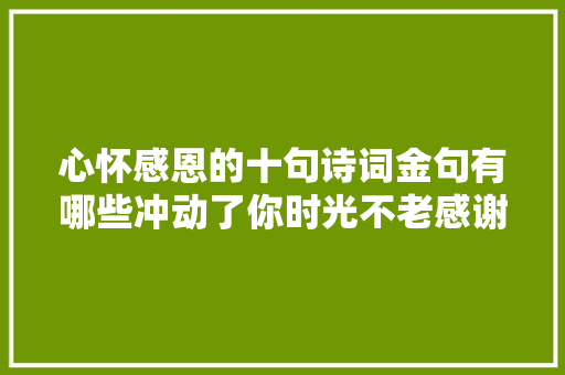 心怀感恩的十句诗词金句有哪些冲动了你时光不老感谢有你