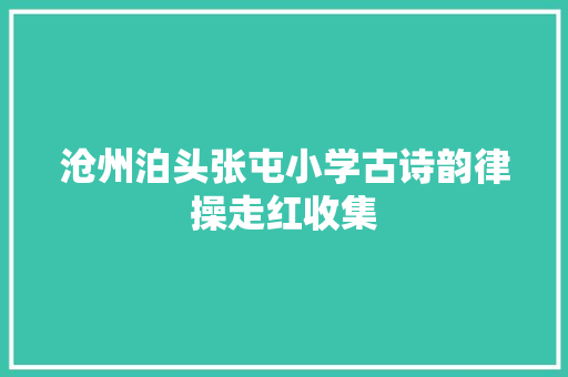 沧州泊头张屯小学古诗韵律操走红收集