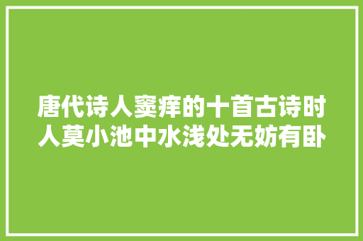 唐代诗人窦痒的十首古诗时人莫小池中水浅处无妨有卧龙