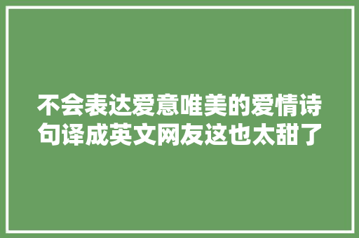 不会表达爱意唯美的爱情诗句译成英文网友这也太甜了吧