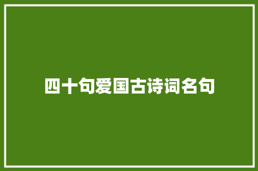 四十句爱国古诗词名句