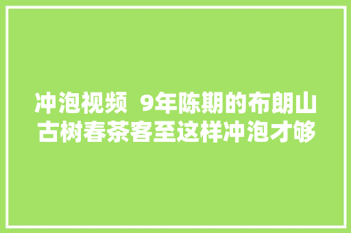 冲泡视频  9年陈期的布朗山古树春茶客至这样冲泡才够味儿