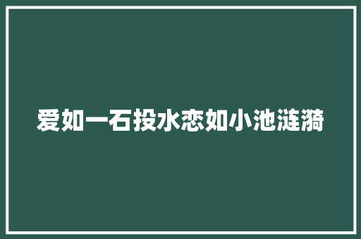 爱如一石投水恋如小池涟漪