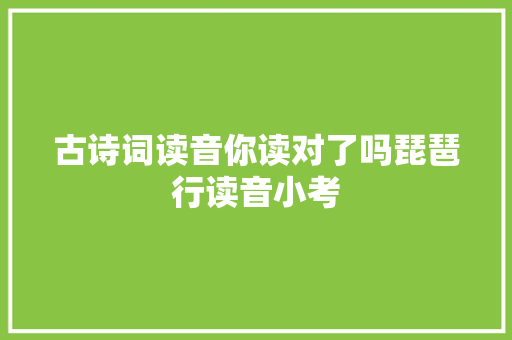古诗词读音你读对了吗琵琶行读音小考