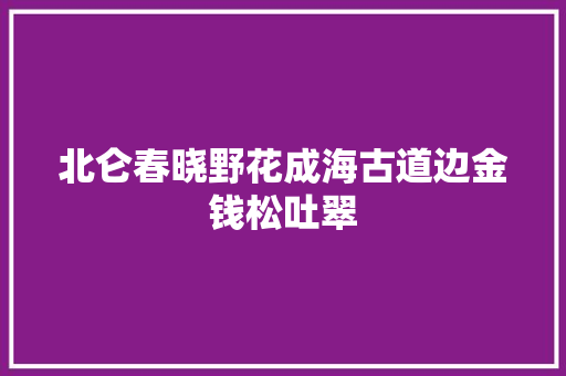 北仑春晓野花成海古道边金钱松吐翠