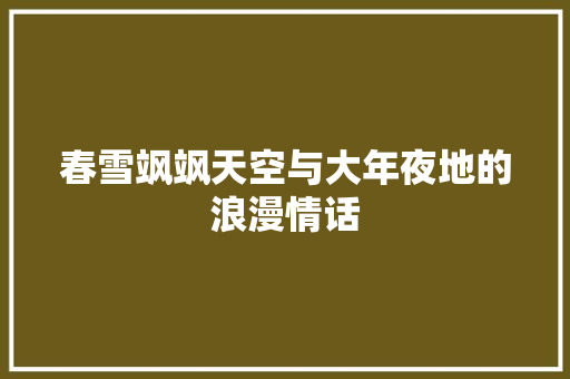 春雪飒飒天空与大年夜地的浪漫情话
