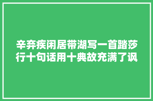 辛弃疾闲居带湖写一首踏莎行十句话用十典故充满了讽刺